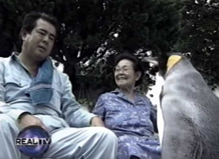 В 90-х годах в японской семье жил пингвин-слуга, ходивший на рынок за продуктами