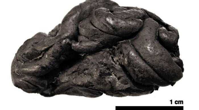 «Жевательная резинка» помогла восстановить лицо девушки, жившей 6000 лет назад