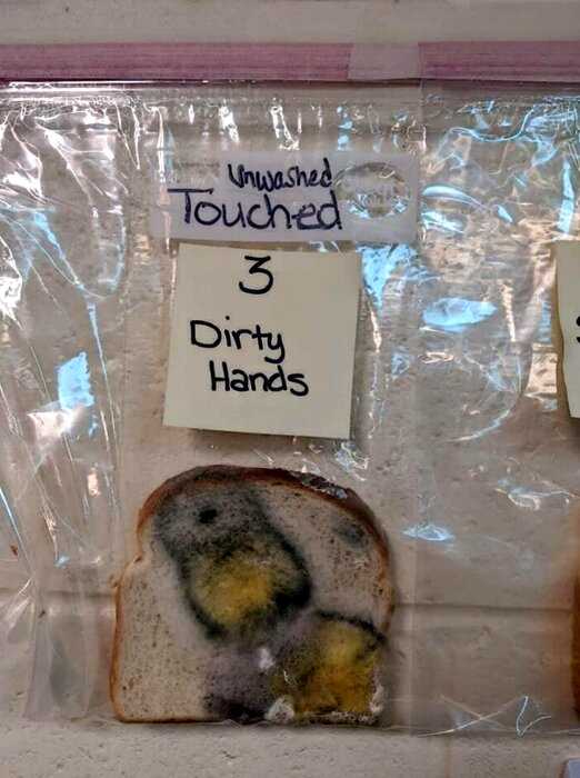 Учительница показала детям важность мытья рук перед едой с помощью хлеба