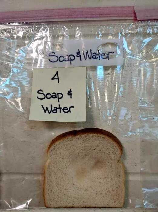 Учительница показала детям важность мытья рук перед едой с помощью хлеба