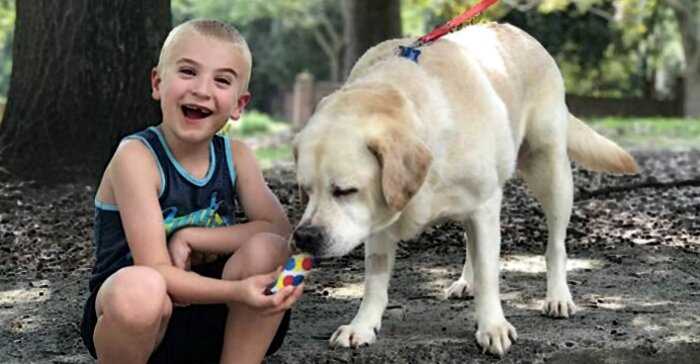 7-летнего мальчика, спасшего 1300 собак, признали «ребёнком года»
