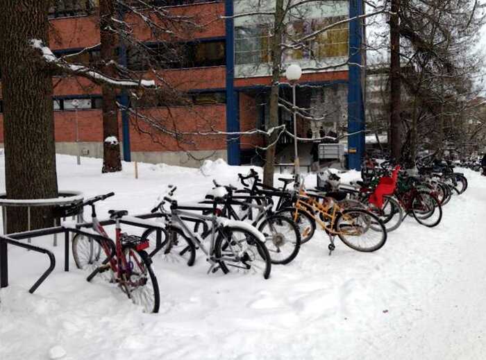«Антифриз в крови»: финские дети ездят в школу на велосипедах при -17C