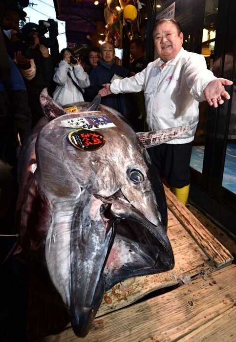 В Японии был один тунец продан за космическую сумму — $ 1,800,000 миллионов долларов