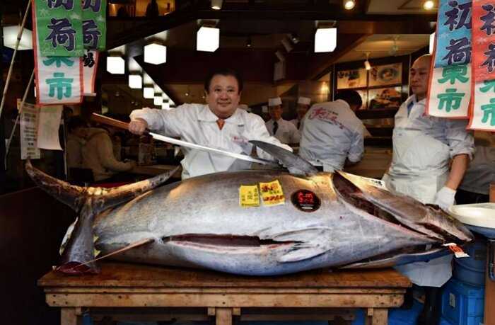 В Японии был один тунец продан за космическую сумму — $ 1,800,000 миллионов долларов