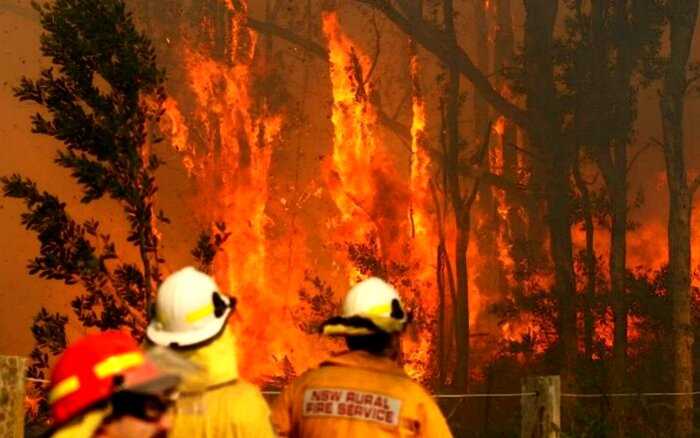 Модель выручила более миллиона долларов голыми фото для борьбы с пожарами Австралии