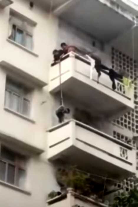 В Китае бабушка спустила с балкона внука, чтобы тот достал соседского кота