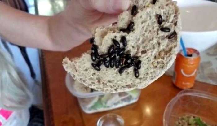 Американка поедает жуков-долгоносиков в погоне за вечной молодостью