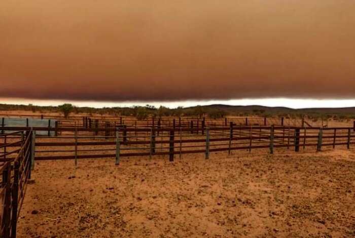 «Это точно конец»: после страшных пожаров и наводнений, Австралию накрыла песчаная буря