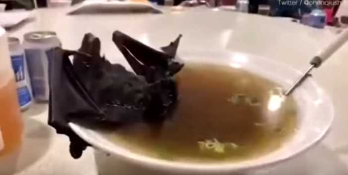 «Теперь понятно откуда вирус»: видео китаянки, пожирающей летучую мышь, шокировало соц-сети
