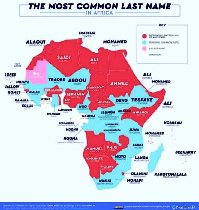 В сети создали карту, демонстрирующую самые распространённые фамилии в разных странах мира