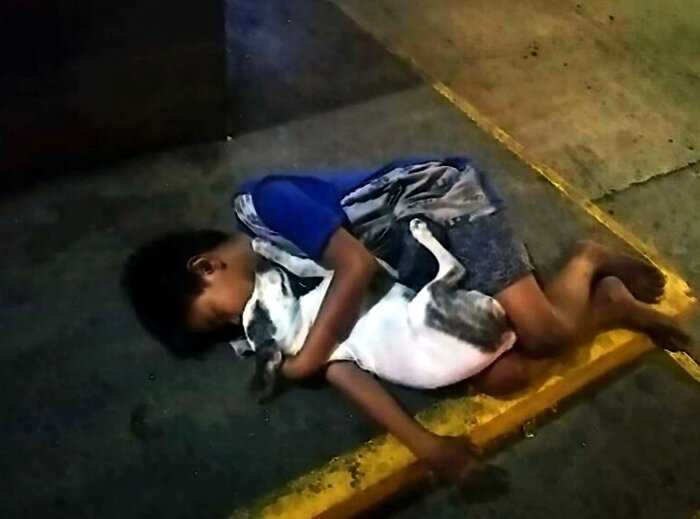 Фотография мальчика, спящего в обнимку с собакой на бетоне, содрогнула мир