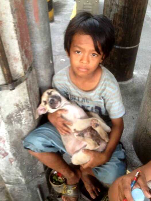 Фотография мальчика, спящего в обнимку с собакой на бетоне, содрогнула мир