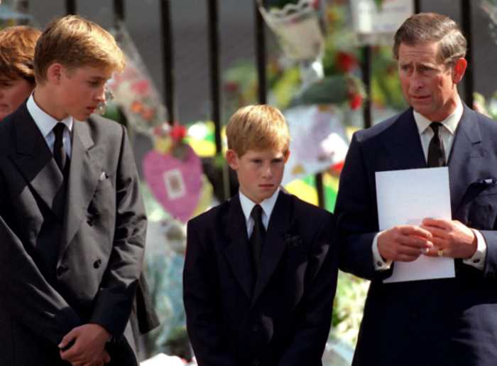 Принц Гарри поделился о своих тревогах после гибели матери за вознаграждение