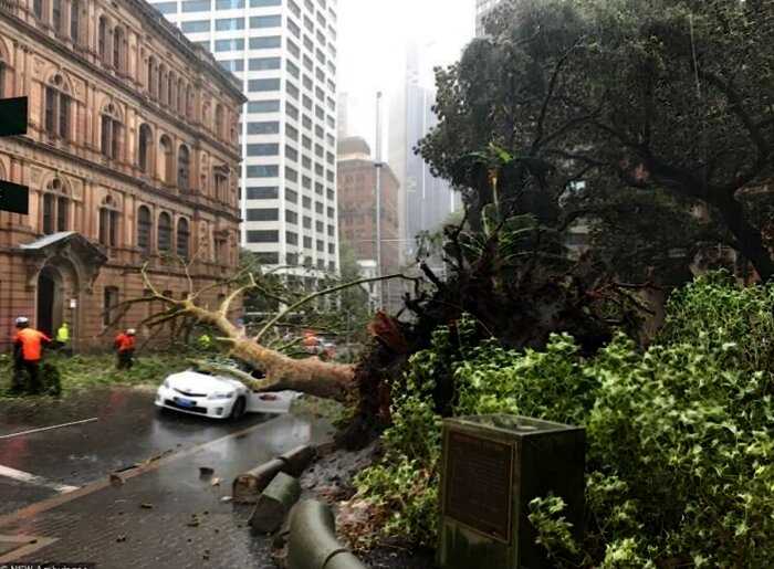 «Проклятый континент»: после немыслимых пожаров австралийские города подверглись потопу
