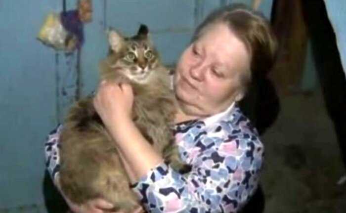 В России кошка долгими часами согревала малыша, брошенного в подвале