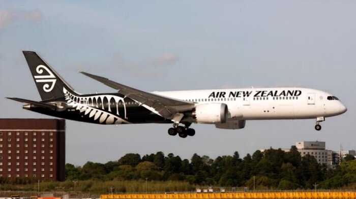 Авиакомпания Air New Zealand представила прототип удобных кроватей для эконом класса