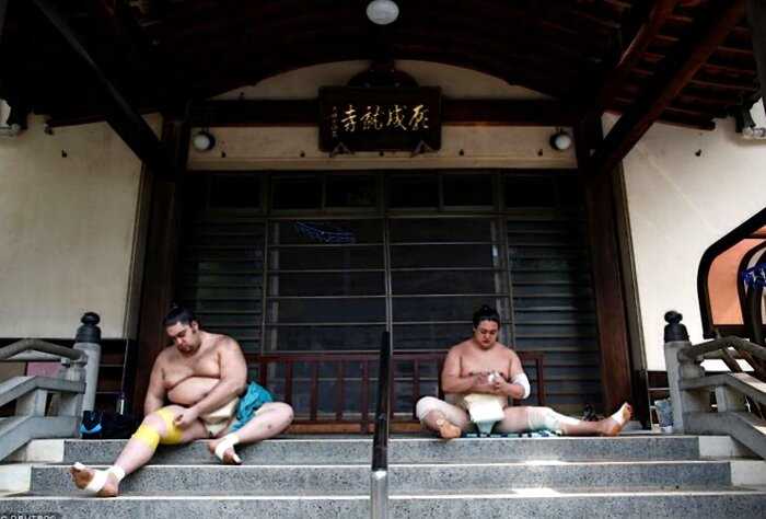 «8000 калорий в день и кислородные маски»: один день из жизни борцов сумо