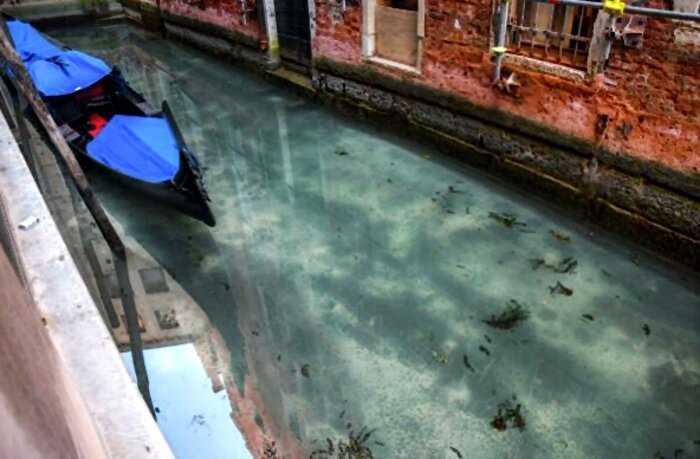Впервые за пол века вода в венецианских каналах стала прозрачной из-за карантина