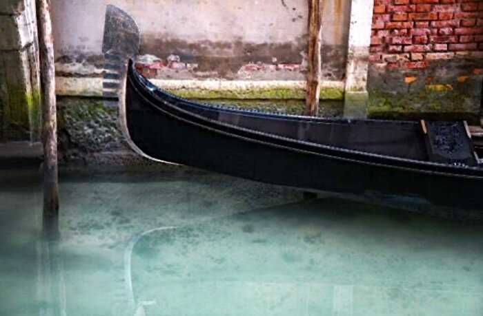 Впервые за пол века вода в венецианских каналах стала прозрачной из-за карантина