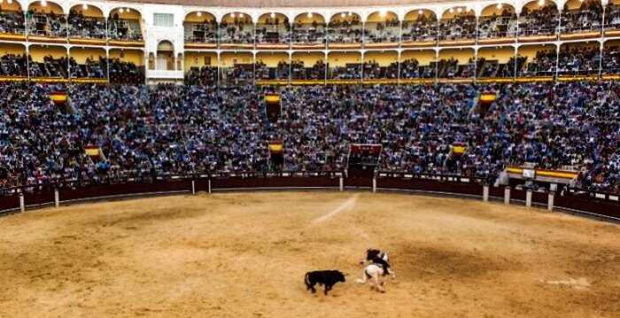 В Испании из-за коронавируса запретили корриду и спасли 120 быков