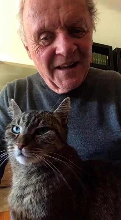 «Долой коронавирус»: 82-летний актёр Энтони Хопкинс изолировался дома с котом