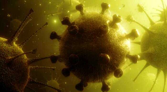 Американцы синтезировали вирус, способный заблокировать коронавирус