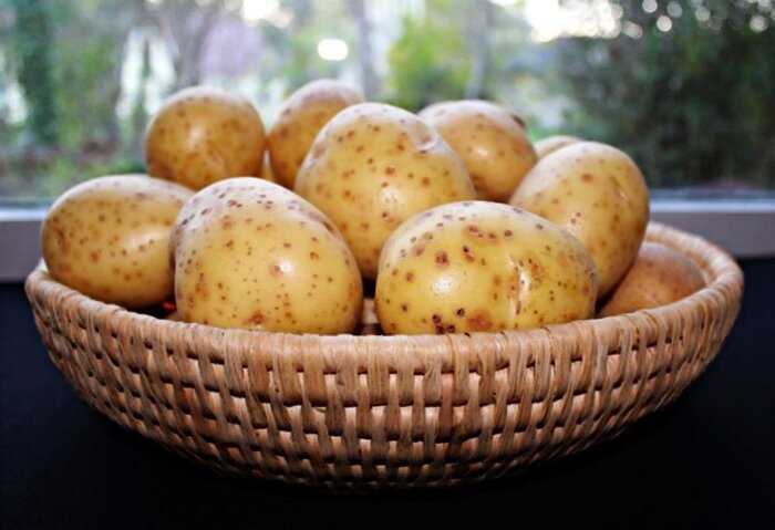 7 вкуснейших способов приготовления молодого картофеля