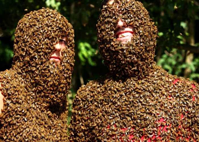 Королева пчел: американка носит на голом теле 12 тысяч пчел вместо одежды