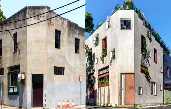 Архитектор превратил бетонную коробку в джунгли своей мечты с собственным огородом на крыше