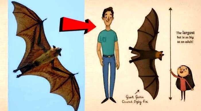 В Twitter появилось фото летучей мыши размером с человека, и, что ещё хуже, она действительно существует