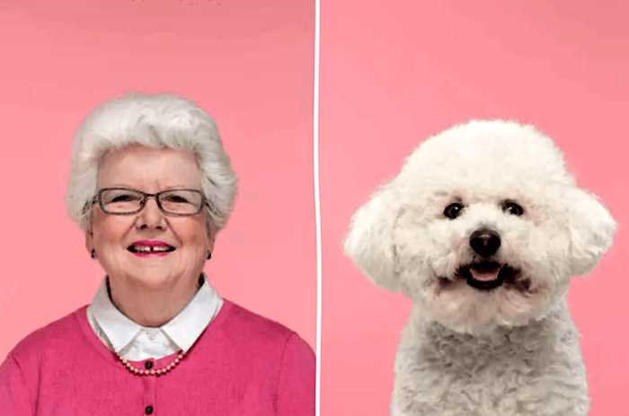 Фотографии доказывающие, что собаки похожи на своих владельцев