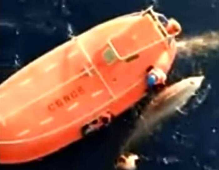 Моряк прыгнул с 12-метровой палубы чтобы спасти кита, который запутался в сетях