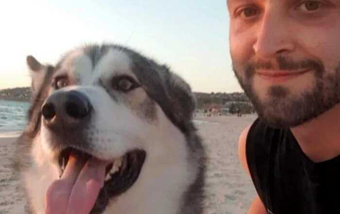 Прохожий парень сделал псу искусственное дыхание прямо на пляже