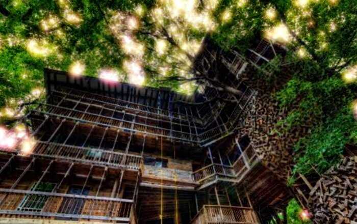 10-этажный дом на 80 комнат, умудрился построить на дереве американец Горация Берджесс