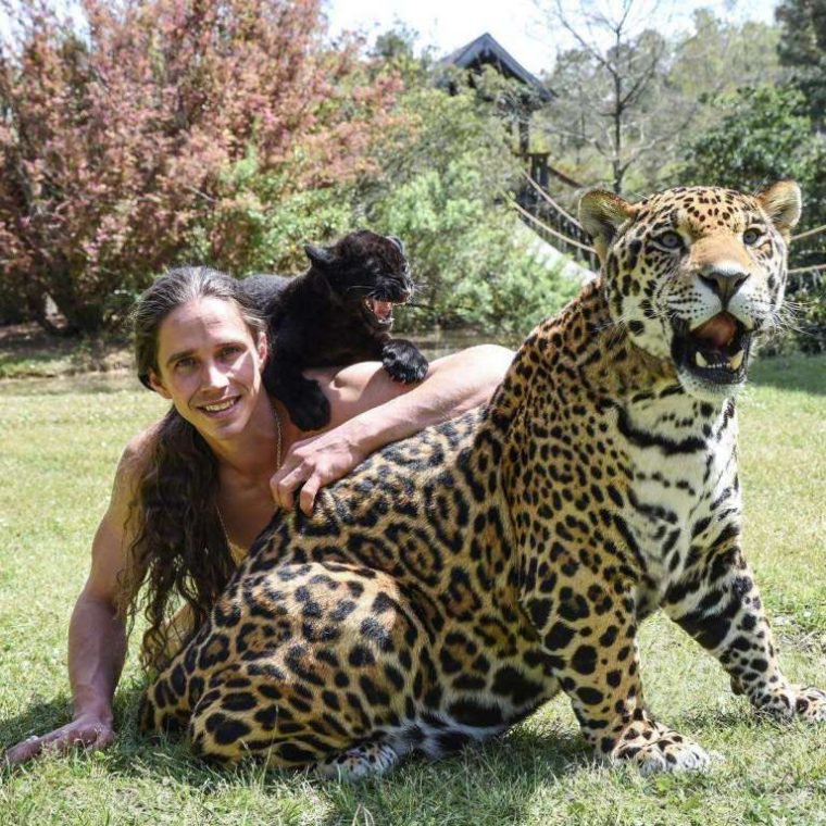 Мужчина спасает и воспитывает диких кошек — Тарзан наших дней