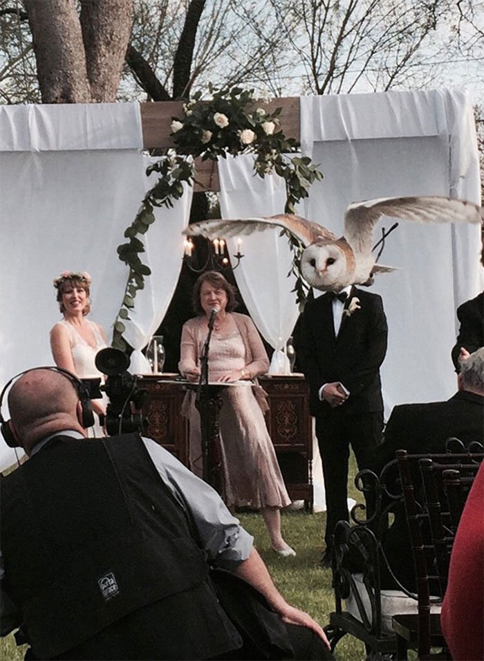 Свадебные фотографы всегда обладали чувством юмора: 7 нелепых фото со свадеб, которые подарят порцию настроения на весь день
