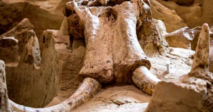 Самая впечатляющая в мире современная археологическая находка: ловушки для мамонтов
