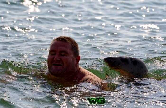 Общительный тюлень приплыл к людям за обнимашками
