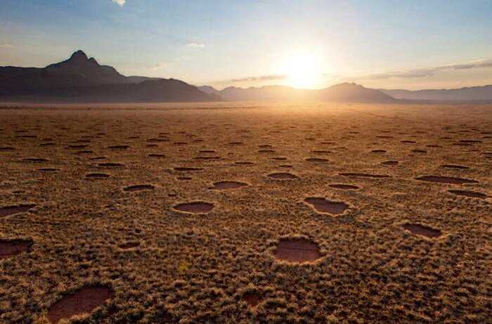 Круги, которые появляются в пустыне и без причины исчезают, поставили в тупик даже учёных