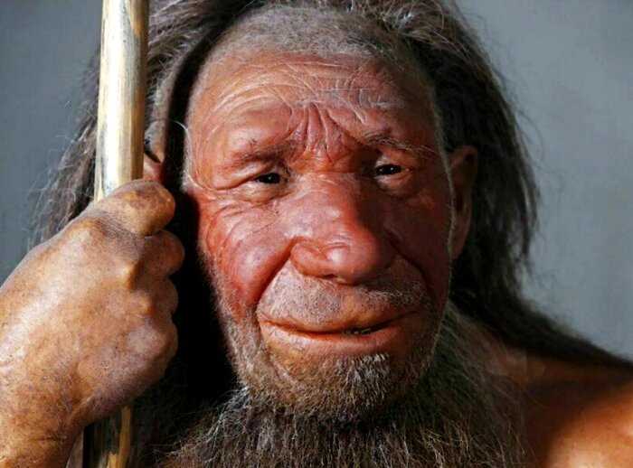 5 удивительных фактов о древних людях