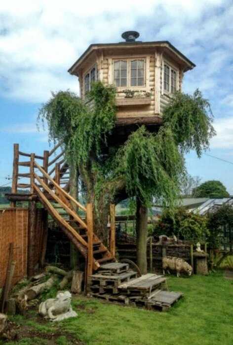 Мужчина построил на дереве дом, который просто впечатляет!