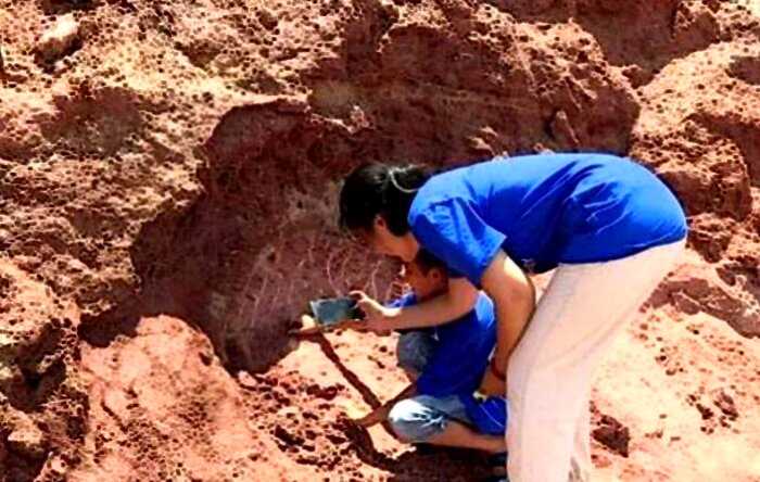 Десятилетний мальчик нашел доисторические яйца динозавра
