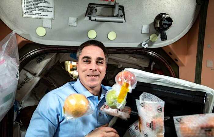 Никакой еды в тюбиках: космонавты поделились, как проходят застолья на МКС