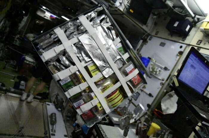 Никакой еды в тюбиках: космонавты поделились, как проходят застолья на МКС