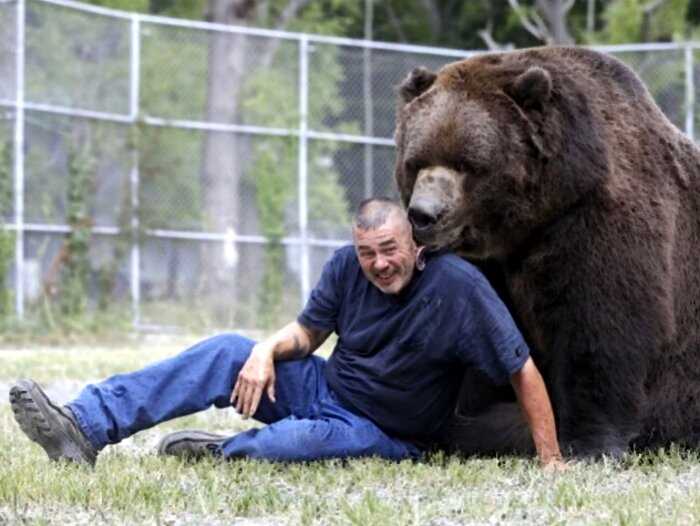 Когда ваш друг — гигантский медведь