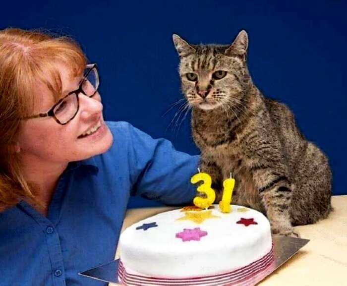 Самый старый кот в мире отметил 31 день рождения! И вот он какой!