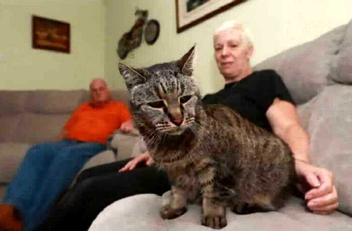 Самый старый кот в мире отметил 31 день рождения! И вот он какой!