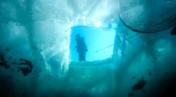 На дне: в подлёдных озёрах Антарктиды нашли новое доказательство внеземной жизни