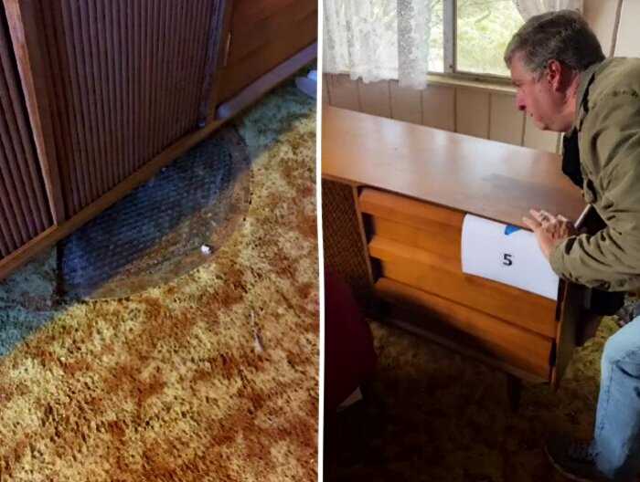 Американка нашла металлический люк в своём доме 1950-х годов, который ведёт вовсе не в канализацию