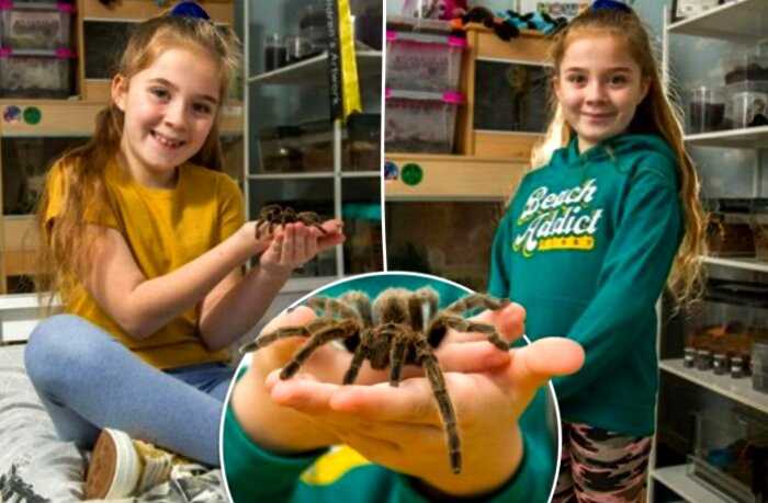 8-летняя девочка живет в комнате с более чем 50 тарантулами